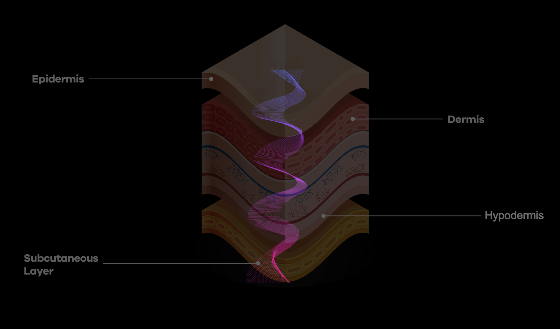 What Each <strong>Wavelength</strong> Does & Why It Matters